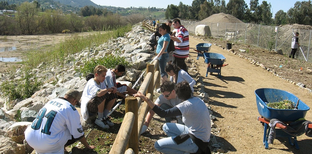 program-image