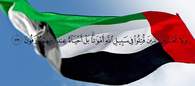 program-image