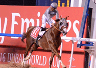 محمد بن راشد: نبارك لـ «كاليفورنيا كروم» بالفوز