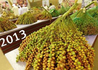 حصاد الإمارات 2013