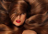 جفاف وتقصف الشعر ..