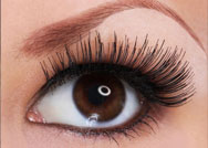 صيحات تتربع على عرش الجمال في موسم 2014-2015