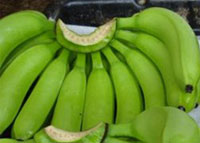 قشر الموز .. لفقدان الوزن وضد الإكتئاب