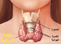 أمراض الغدة الدرقية وعلاقتها بالوزن