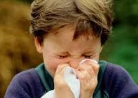 النظام الغذائي للوقاية من نزلات البرد