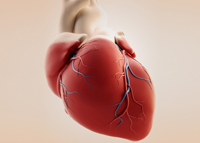 العلاجات الحديثة للأمراض القلبية