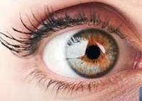 المشاكل التي تصيب شبكية العين بسبب السكري