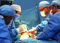 نجاح أول عملية زراعة كلى  بدبي