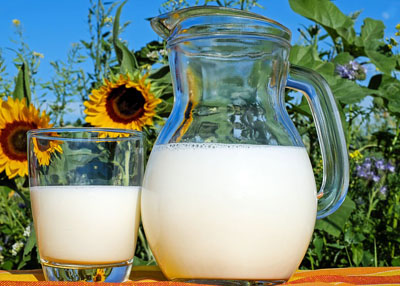 هل شرب الحليب يقلل خطر الاصابة بمرض السكري؟