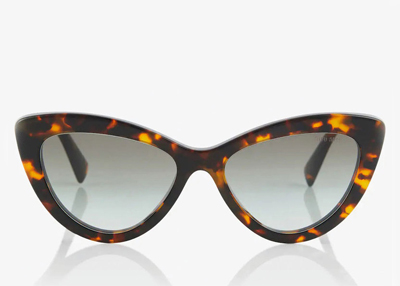 نظارة «عين القطة» نجمة هذا الصيف