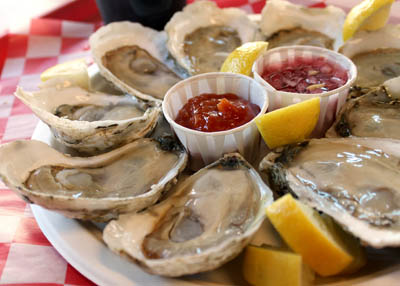 تعرف على فوائد محار البحر