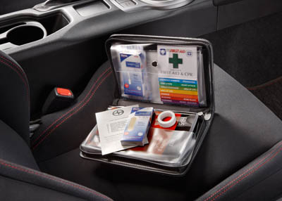 صيدلية السفر ضرورية في الرحلات 