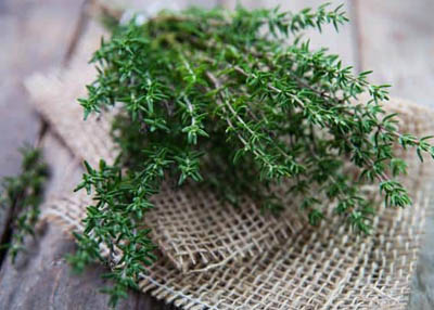 شاي الزعتر فوائد عديدة وعلاج فعال في الشتاء