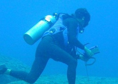 العثور على قارة قابعة تحت المحيط الهادي