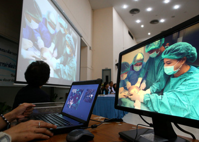 استخراج 915 عملة معدنية من بطن سلحفاة بحرية في تايلاند