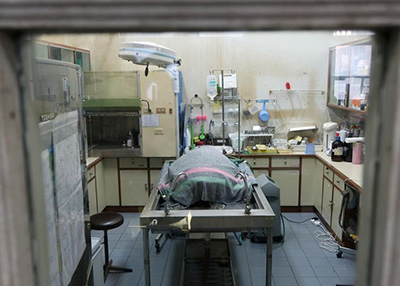 السلحفاة "الحصالة" في غيبوبة بعد استخراج 915 عملة معدنية من بطنها