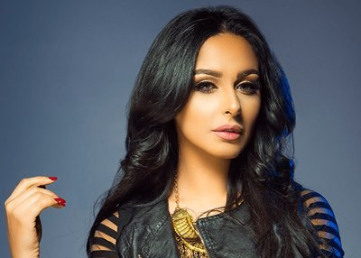 هل تعود ميس حمدان للغناء؟